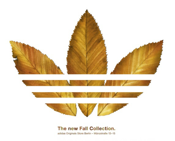 Adidas logo leaf online